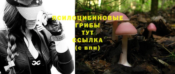 хмурый Кодинск