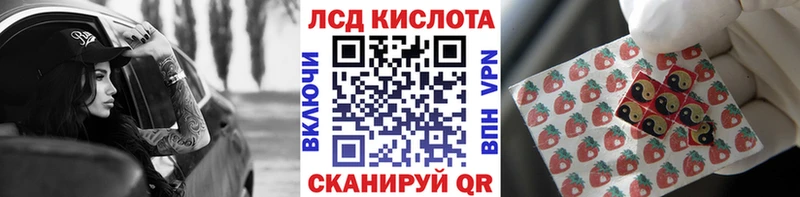 даркнет состав  ссылка на мегу онион  Марки 25I-NBOMe 1500мкг  Новоалександровск  дарнет шоп 