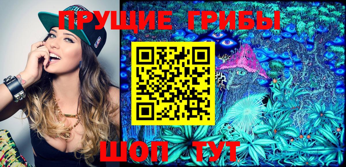 Псилоцибиновые грибы мицелий  Галлюциногенные грибы Magic Shrooms  Вход с VPN  Новоалександровск 